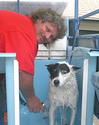 Aussie Pooch Mobile Dog wash and care specialist Kevin McFarlane hydrobathing a dog
