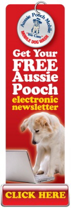 Subscribe to the Pooch Mobile Newsletter