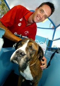 Aussie Pooch Mobile Franchise with his Boxer dog
