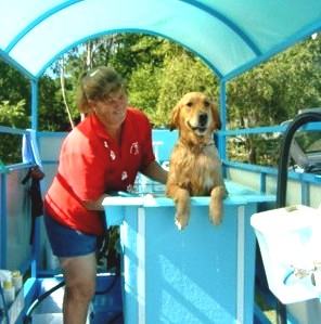 Dog Wash Trailer - Aussie Pooch Mobile