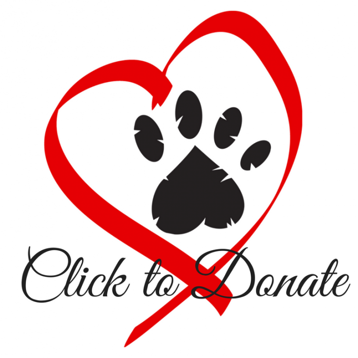 Animal charity- donate and give the gift of giving this season