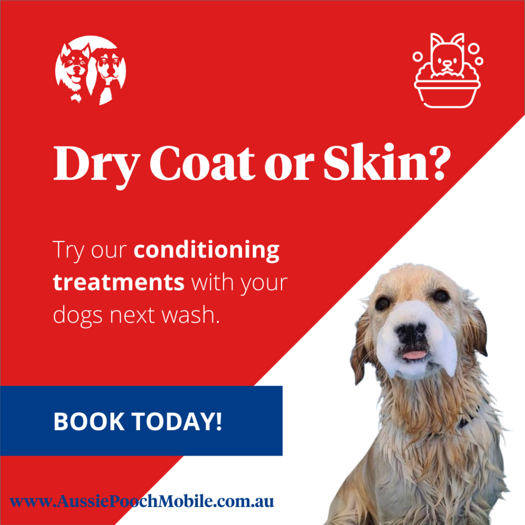 Aussie Pooch Mobile Dog Wash & Grooming Franchise Ph 1300 369 369